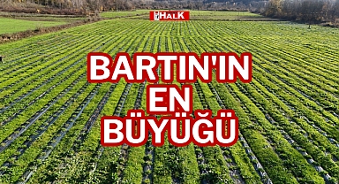 BARTIN'IN EN BÜYÜĞÜ