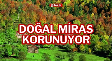 DOĞAL MİRAS KORUNUYOR