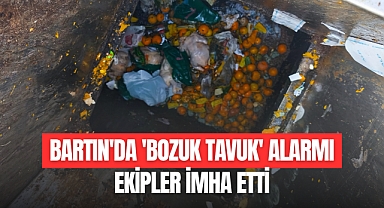 EKİPLER İMHA ETTİ