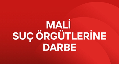 MALİ SUÇ ÖRGÜTLERİNDE DARBE
