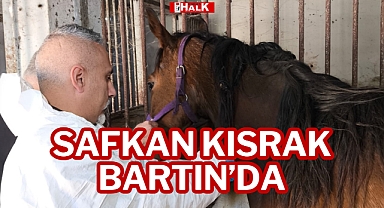 SAFKAN KISRAK BARTIN'DA