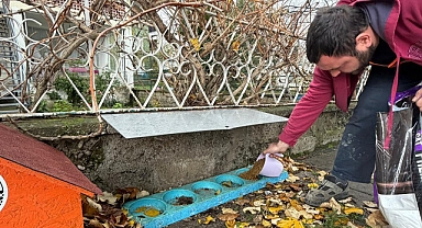 Sokak Hayvanlarına Kış Desteği