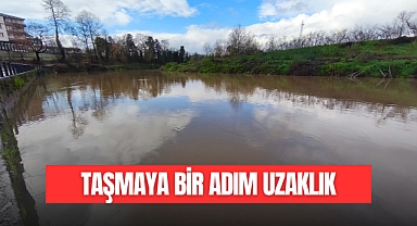 TAŞMAYA BİR ADIM UZAKLIK