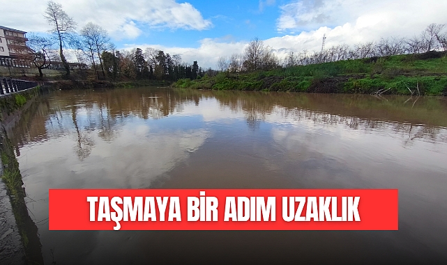 TAŞMAYA BİR ADIM UZAKLIK