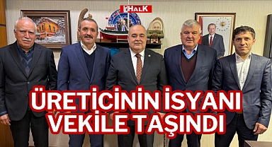 Üreticinin İsyanı Vekile Taşındı