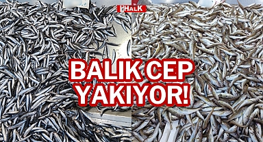 BALIK CEP YAKIYOR!