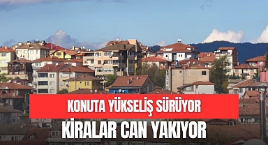 KONUTTA YÜKSELİŞ SÜRÜYOR