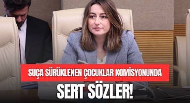 SUÇA SÜRÜKLENEN ÇOCUKLAR KOMİSYONUNDA SERT SÖZLER!