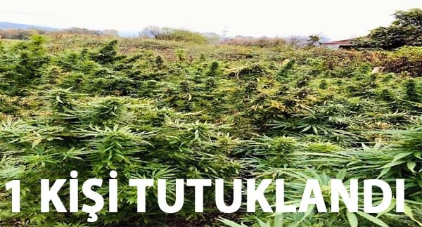 1 kişi tutuklandı