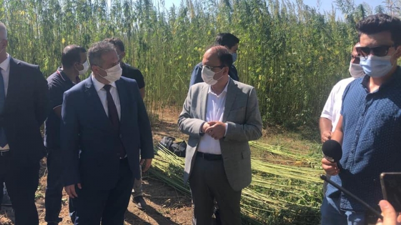 10 dekar araziden 10 ton ürün bekleniyor