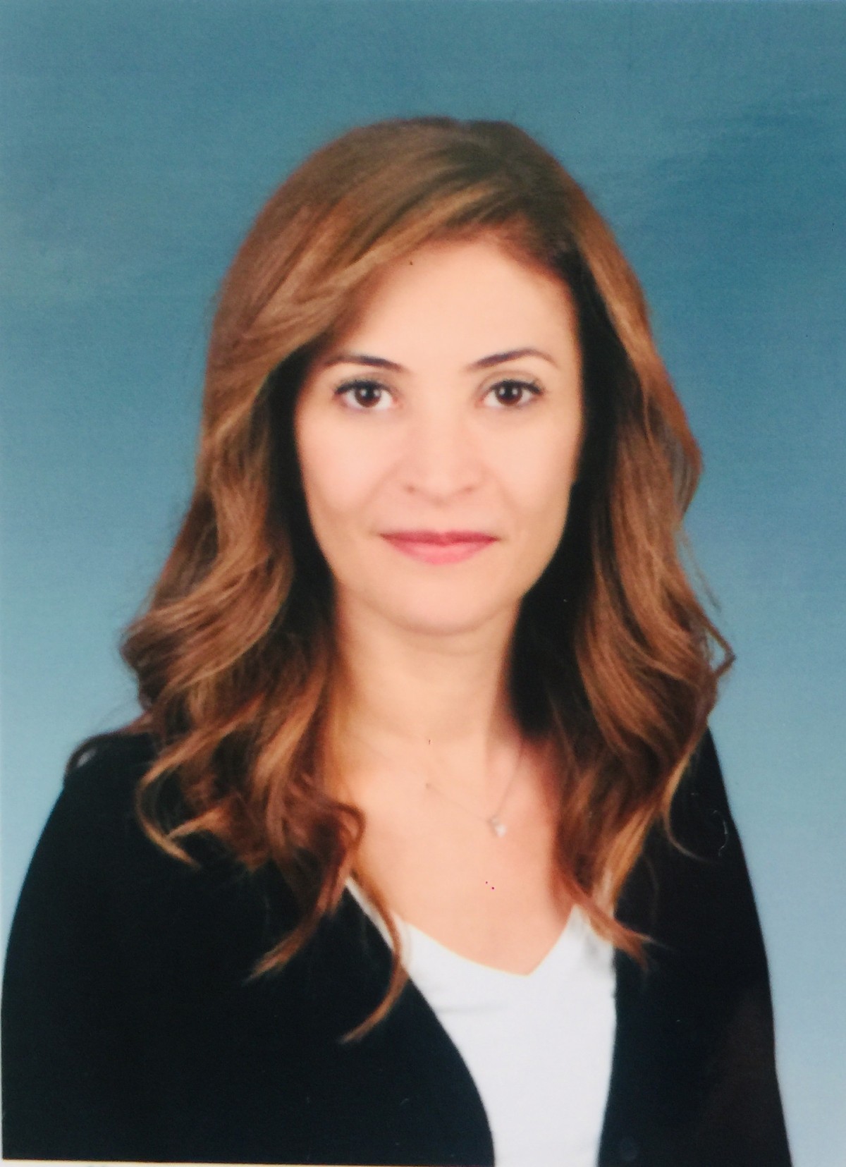 Lermi yeniden atandı