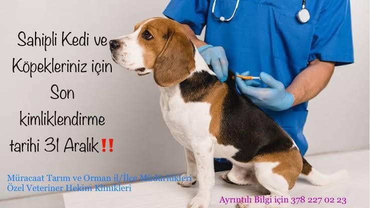 3 bin 642 TL ceza yememek için 10 gününüz var!