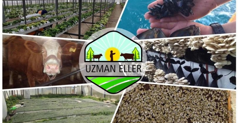 5 girişimciye 100 bin TL’ye kadar destek sağlanacak