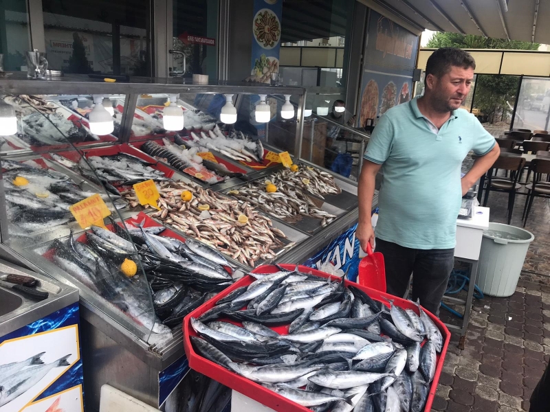 Balık tezgahları renklendi, fiyatlar düştü
