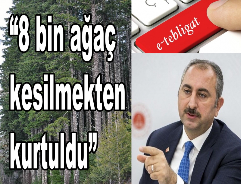 8 bin ağaç kesilmekten kurtuldu