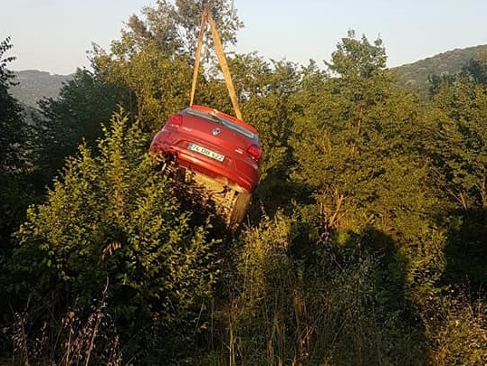 Ağaçlar felaketten korudu!