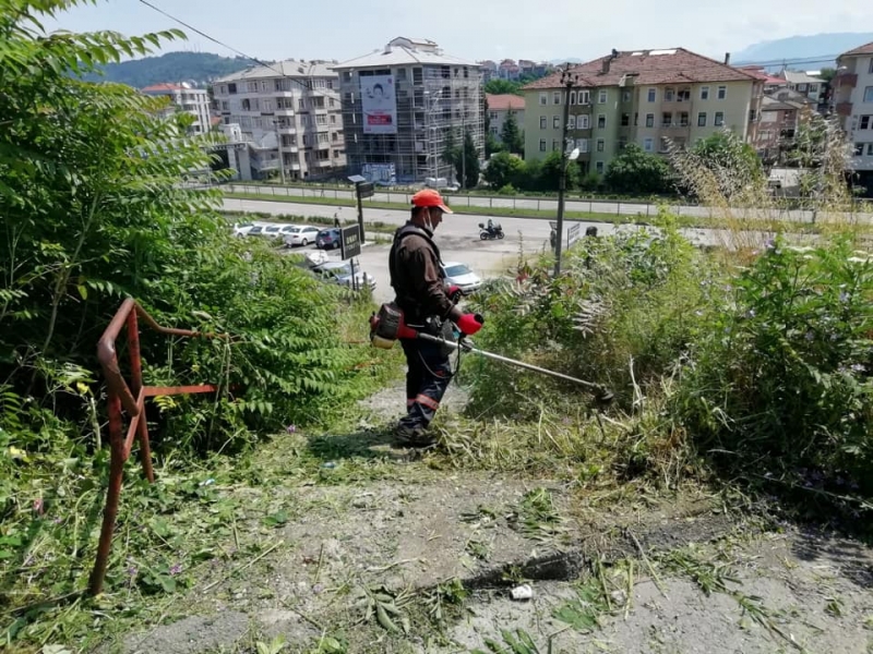 Aladağ’da ot temizliği yapıldı
