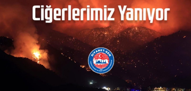 Albayrak: “Ciğerlerimiz yanıyor”