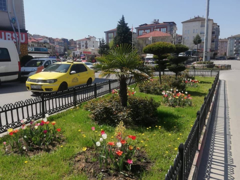 Baharın müjdecisi Laleler açtı