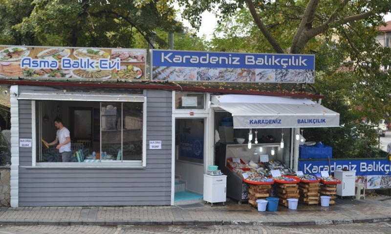 Balığın yeni adresi ASMA BALIK EVİ