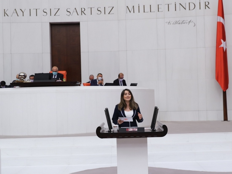Bartın’ın sorun ve beklentilerini TBMM’de anlattı