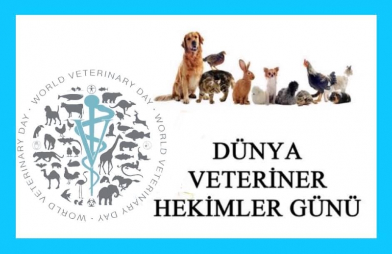 Başkan, veterinerleri unutmadı