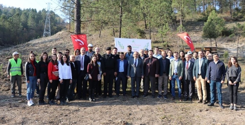 Başkent EDAŞ’tan Bartın’a 5 bin 500 defne fidanı