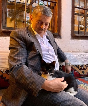 Belediye, sokak kedilerine kucak açtı
