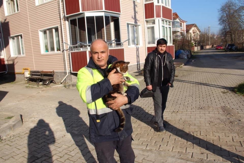 Belediye, sokaklardaki dostlarımızı aç bırakmıyor