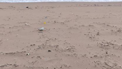 Fırtına Sonrası Çöplüğe Döndü