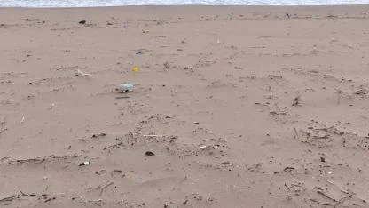 Fırtına Sonrası Çöplüğe Döndü